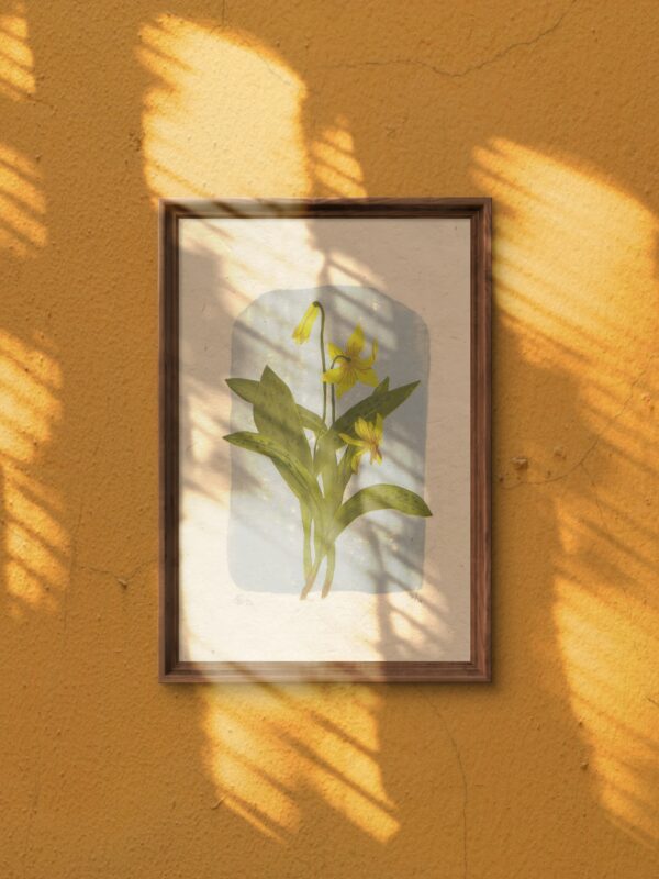 Relief Print - Trout Lily