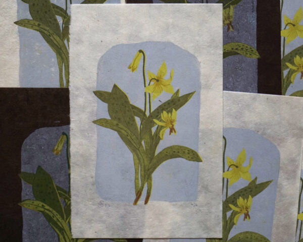 Trout Lily Reduction Print