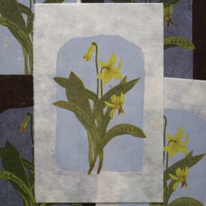Relief Print - Trout Lily