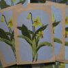 Relief Print - Trout Lily