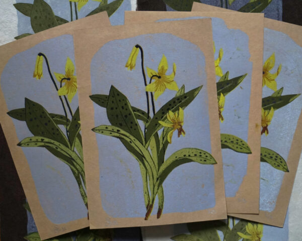 Relief Print - Trout Lily