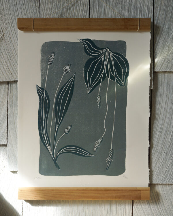 Relief Print - Plantago