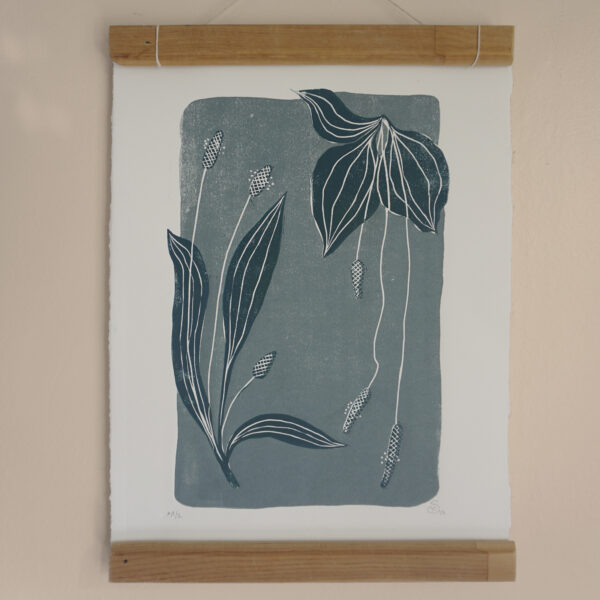 Relief Print - Plantago