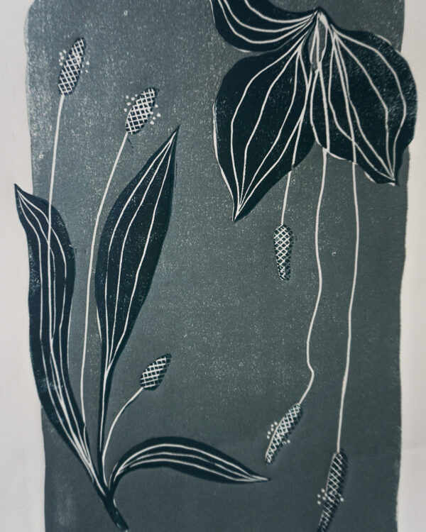 Relief Print - Plantago