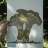 Chanterelles