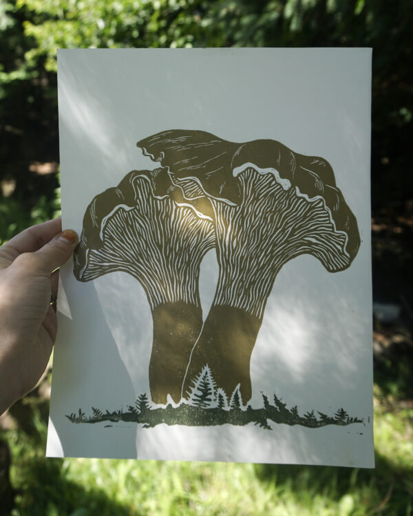 Chanterelles