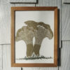 Chanterelles