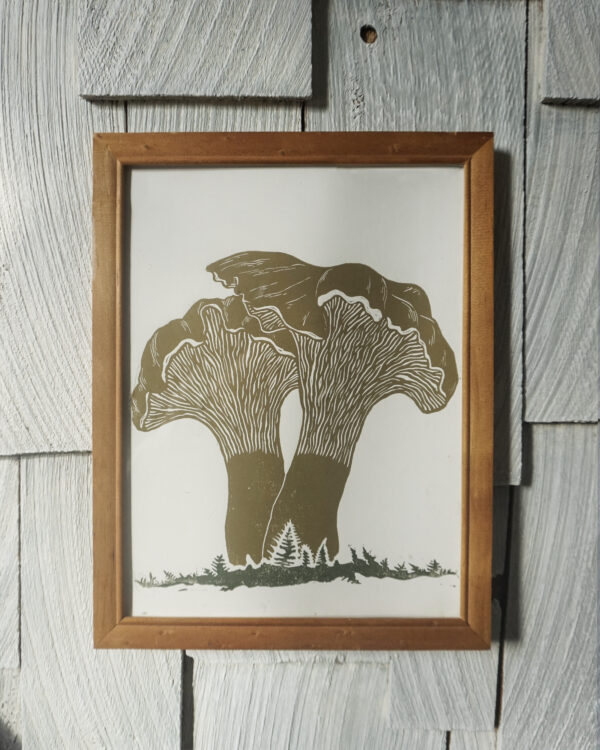 Chanterelles
