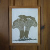 Chanterelles