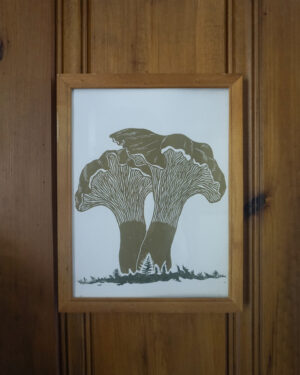 Chanterelles