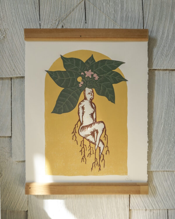 Reduction Feminin Botanical Blockprint Mandragora