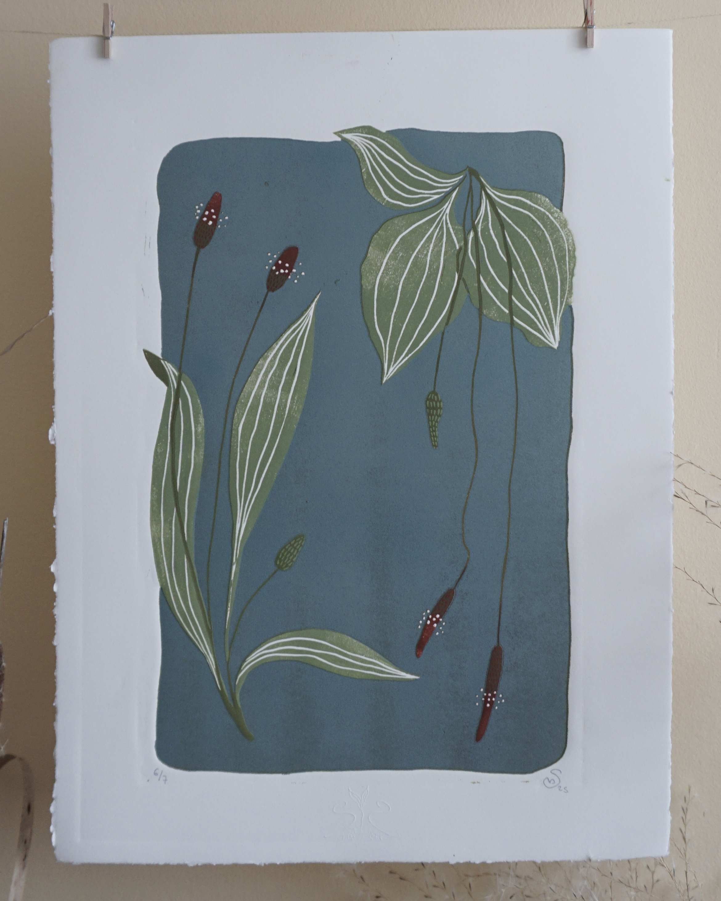 Botanical Blockprint Plantago