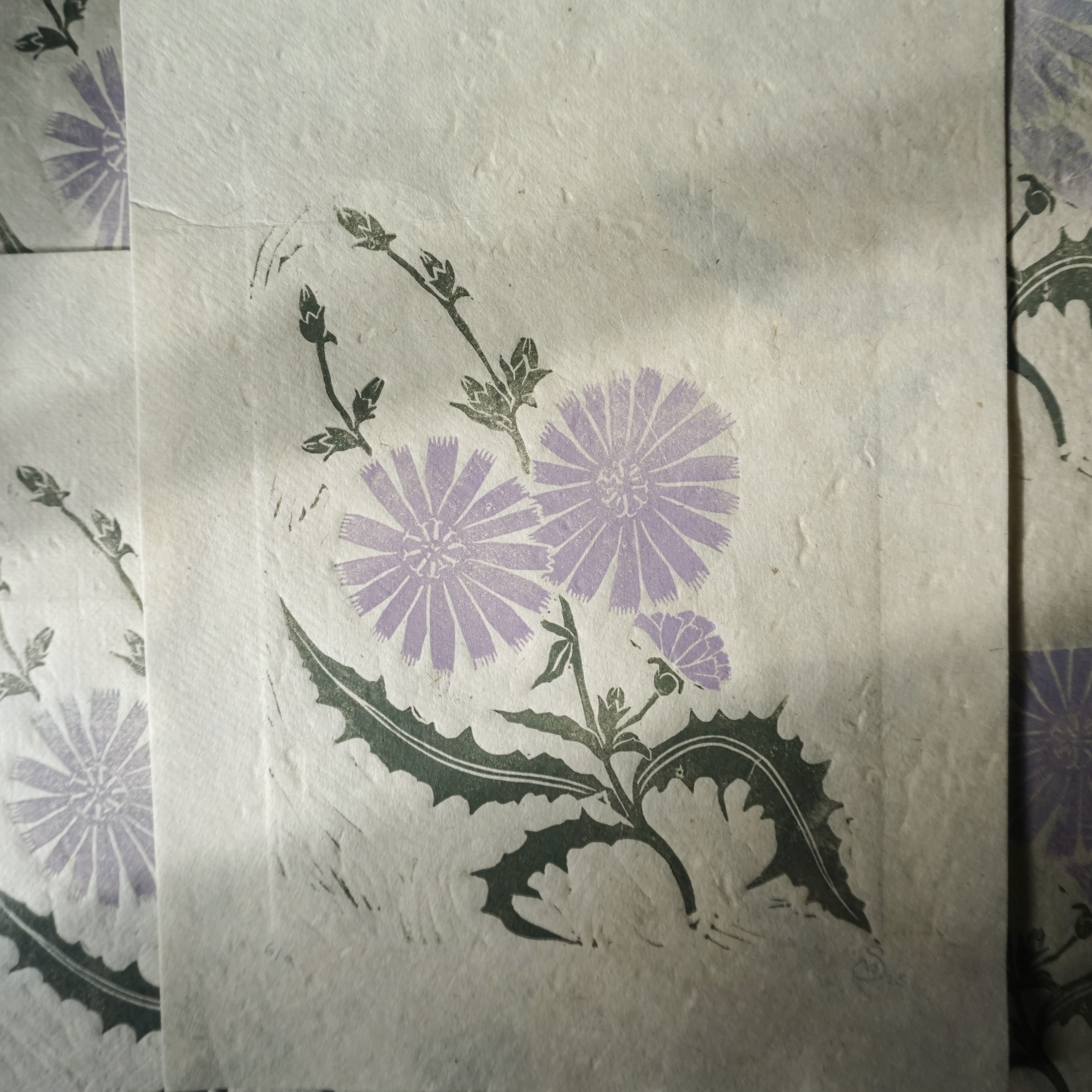 Chicory Puzzle Print