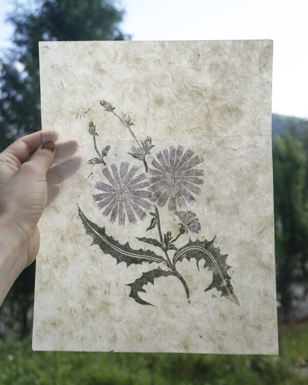 Botanical Blockprint Chicory