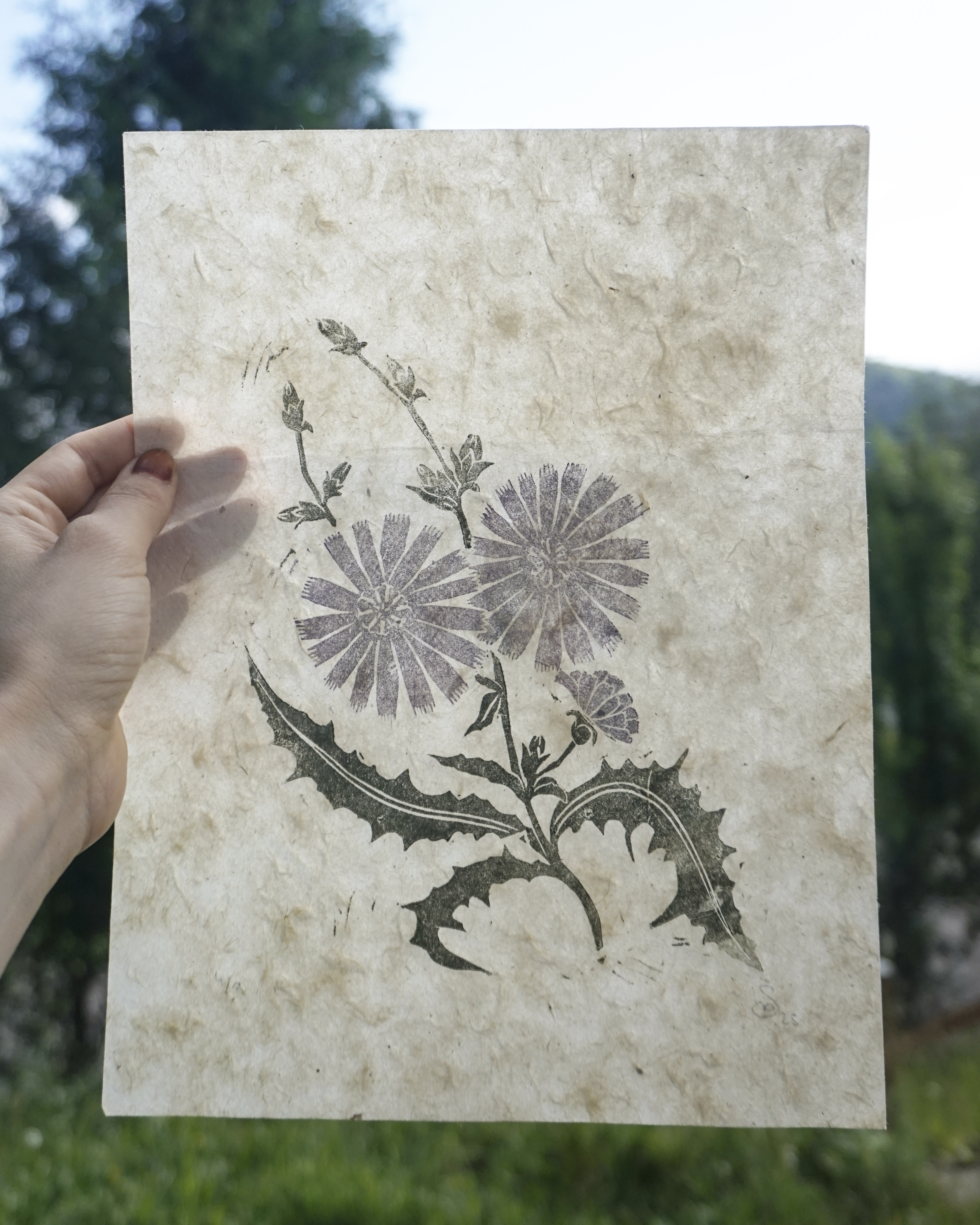 Chicory Puzzle Print