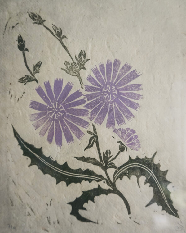 Chicory Puzzle Print