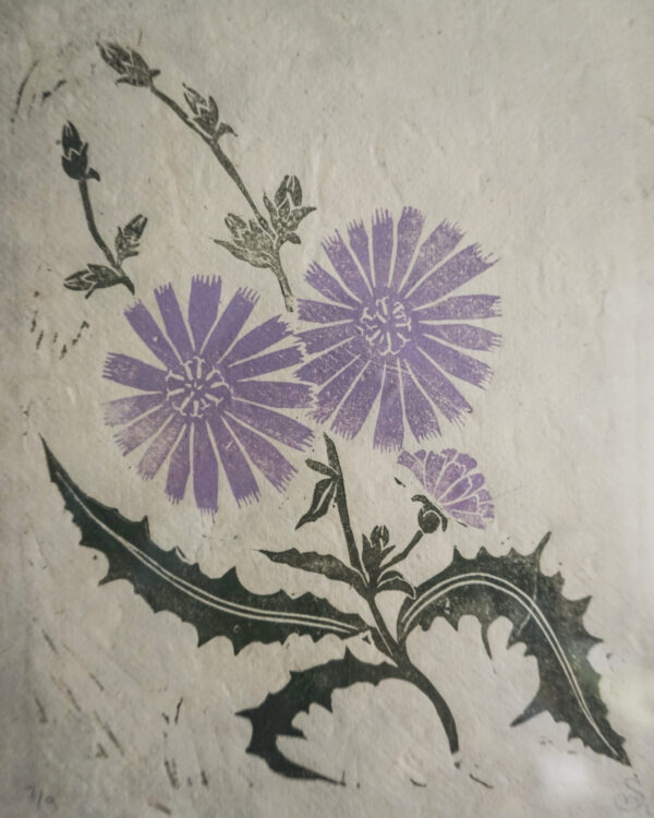 Botanical Blockprint Chicory