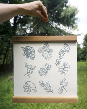 Petits Fruits