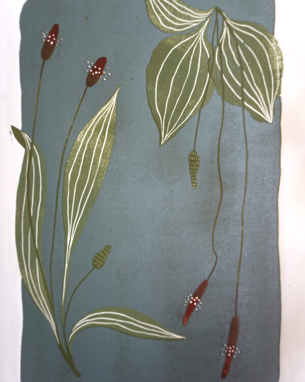 Botanical Blockprint Plantago