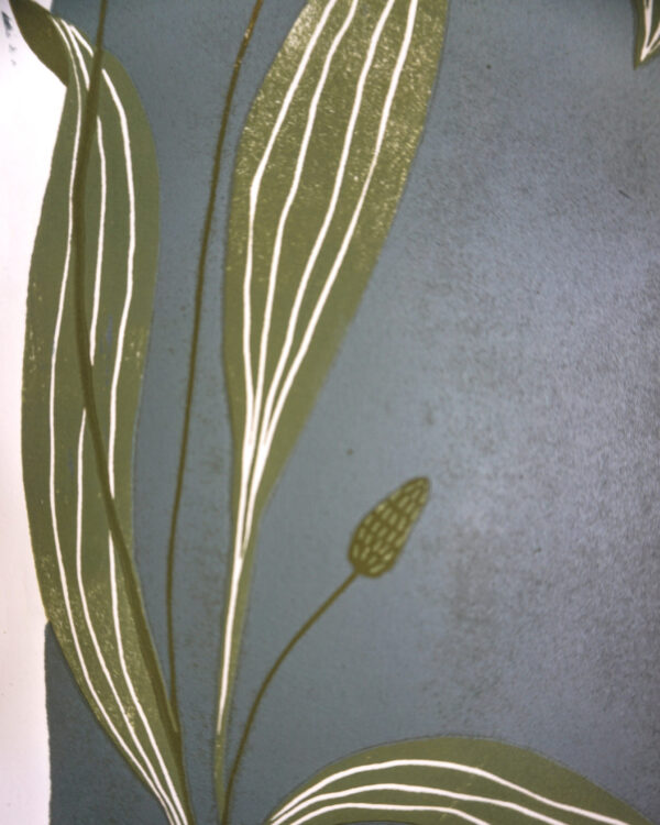 Botanical Blockprint Plantago