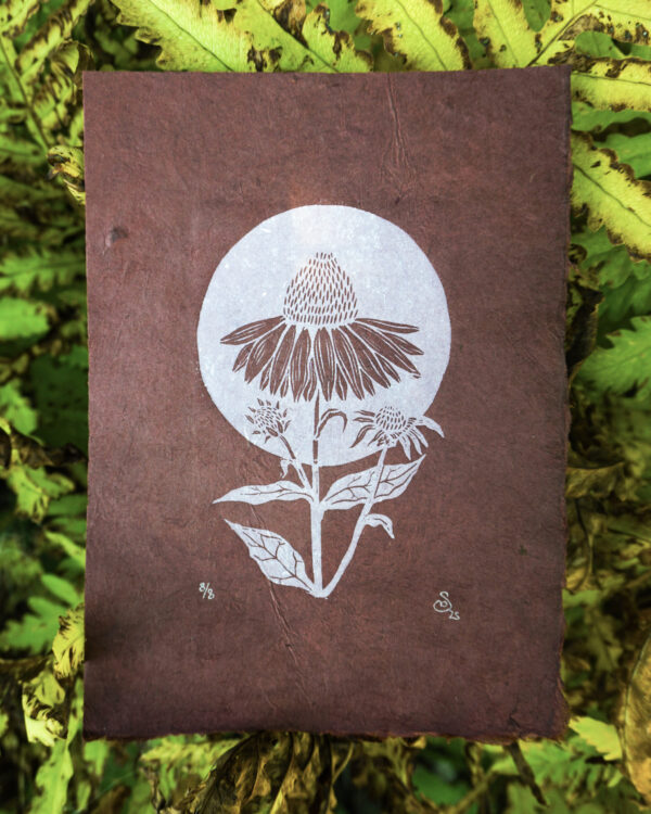 Hand-printed Reliefprint Echinacea