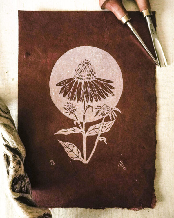 Hand-printed Reliefprint Echinacea