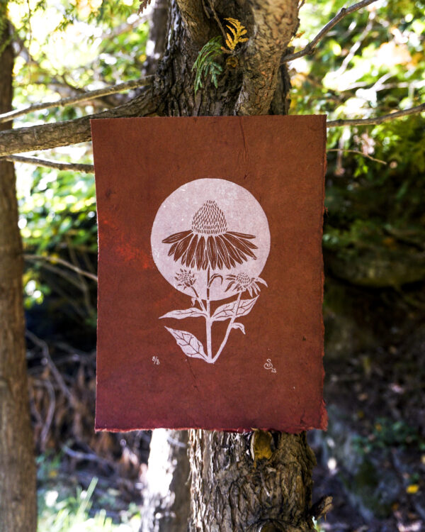 Hand-printed Reliefprint Echinacea