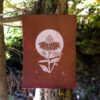 Hand-printed Reliefprint Echinacea