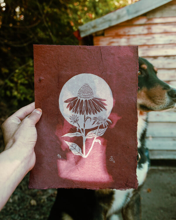 Hand-printed Reliefprint Echinacea