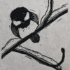 Blockprint Blackcapped Chickadees Fauna