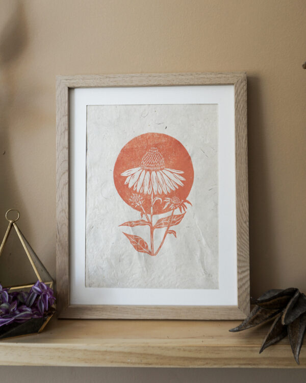 Echinacea Botanical Blockprint Echinacea Herb