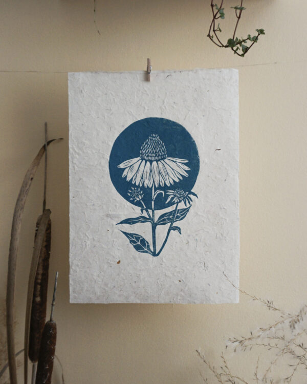 Echinacea Botanical Blockprint Echinacea Herb