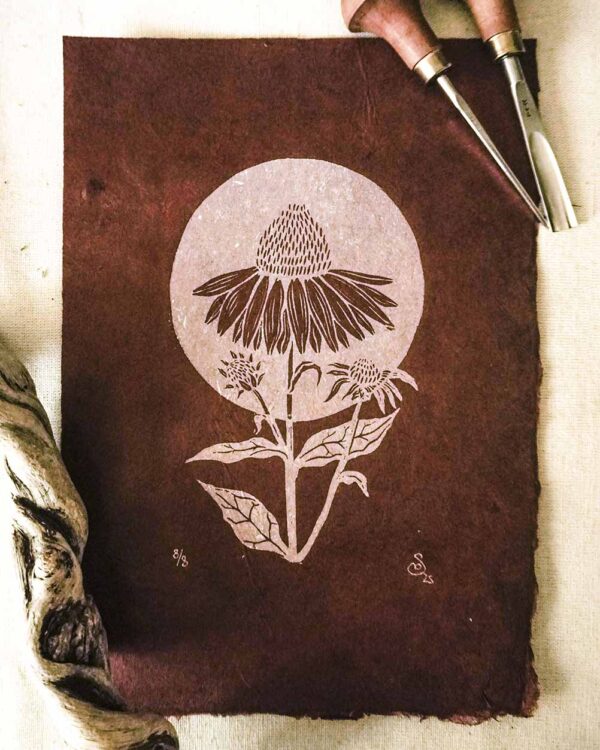 Echinacea Burgundy Paper Botanical Blockprint Echinacea Herb