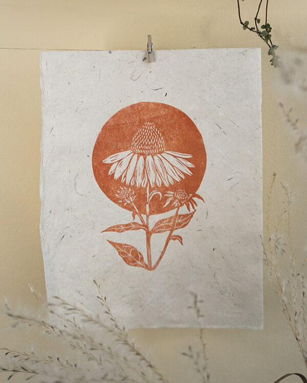 Echinacea Terracotta Botanical Blockprint Echinacea Herb