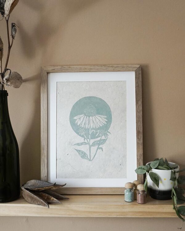 Echinacea azure blue Botanical Blockprint Echinacea Herb