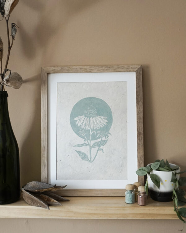 Botanical Blockprint Echinacea Herb