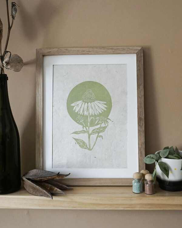 Echinacea sage green Botanical Blockprint Echinacea Herb