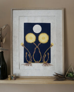 Botanical Blockprint Tussilago Coltsfoot