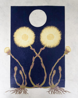 Botanical Blockprint Tussilago Coltsfoot