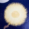 Tussilago Botanical Blockprint Tussilago Coltsfoot