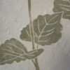 Agastache Botanical Print Agastache