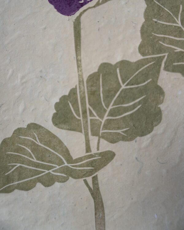 Agastache Botanical Print Agastache