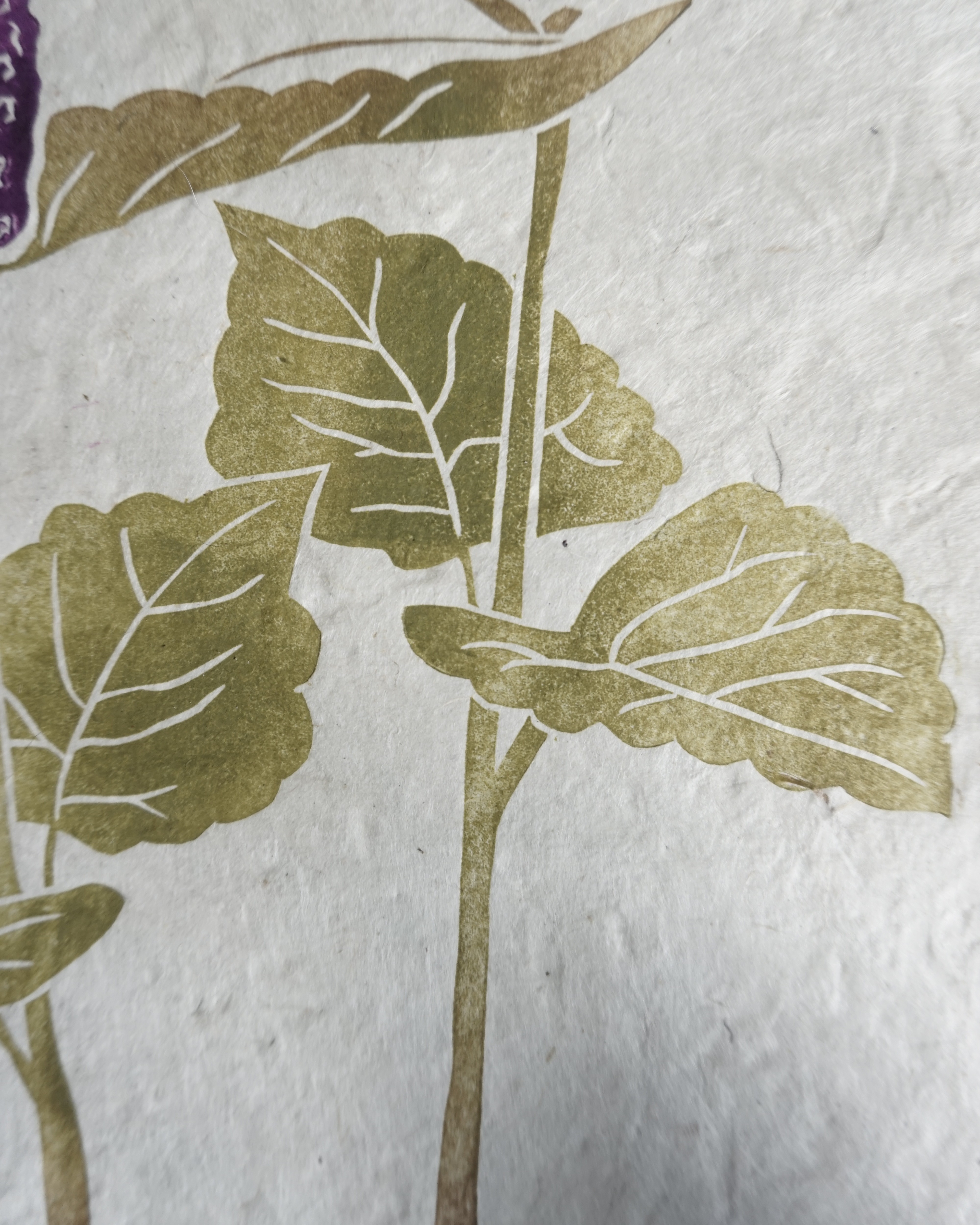 Agatache Botanical Print Agastache