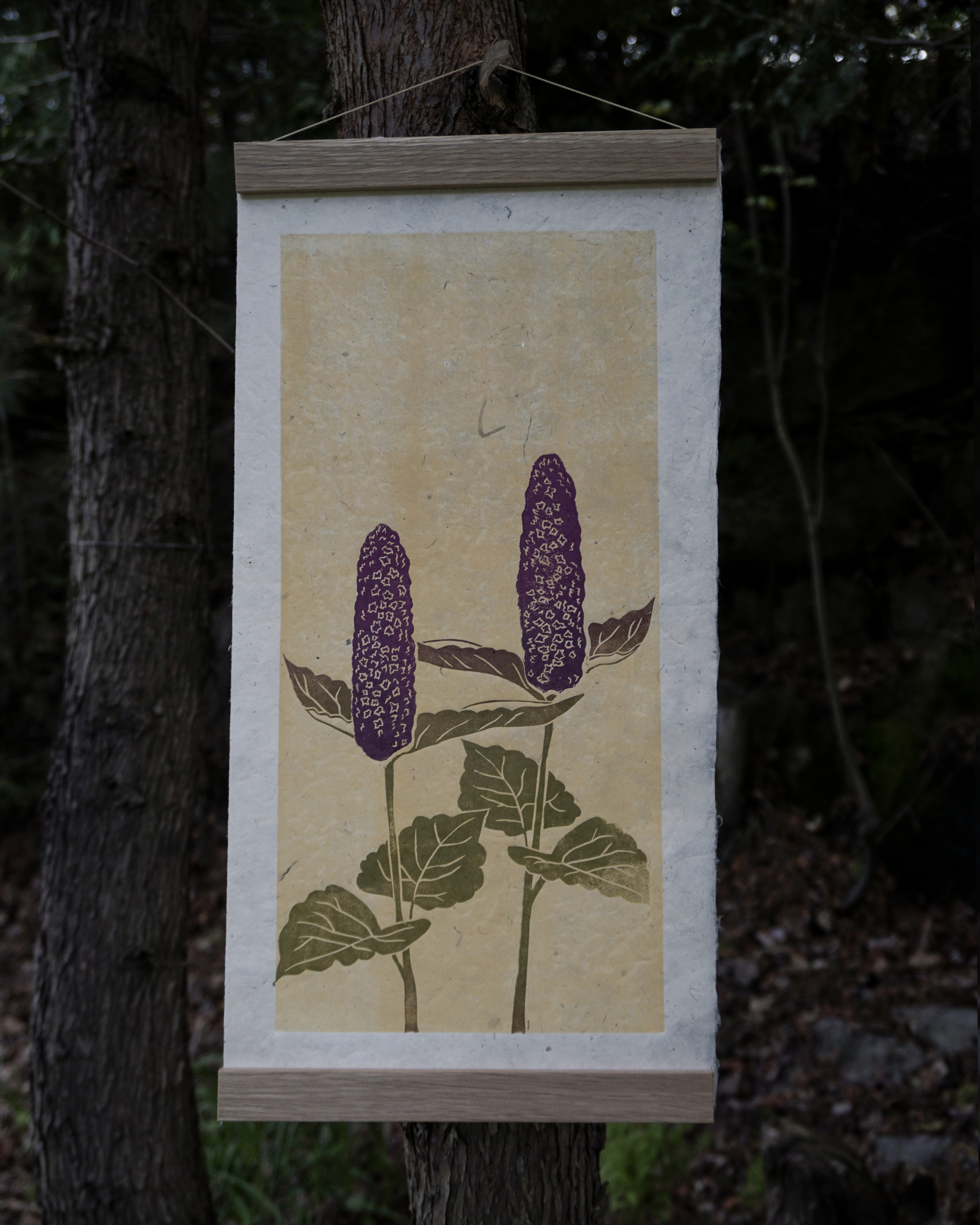 Botanical Print Agastache