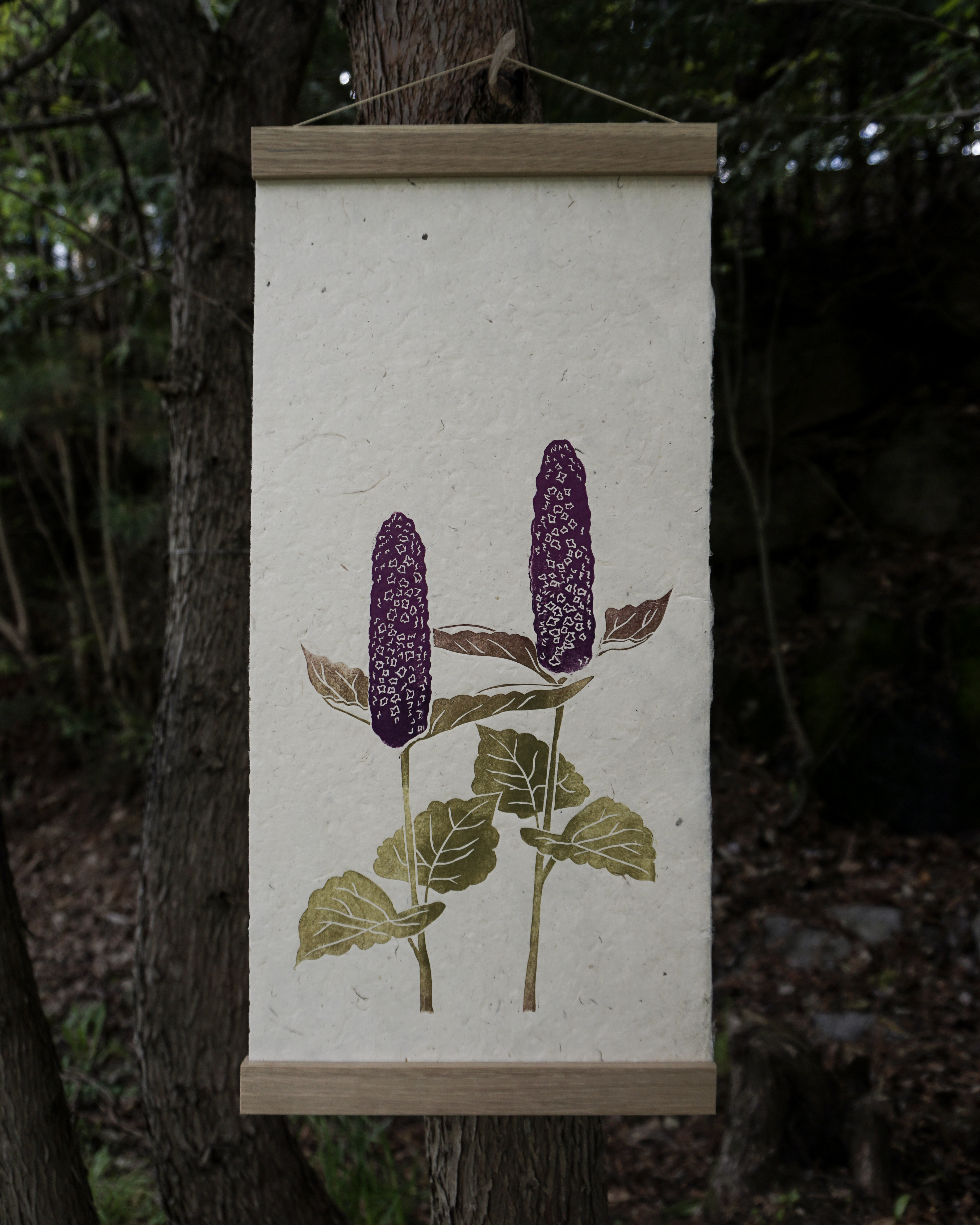 Agastache Botanical Print Agastache