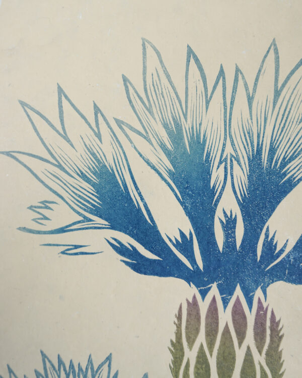 Botanical Print Centaurea cyanus