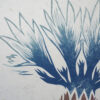 Botanical Print Centaurea cyanus