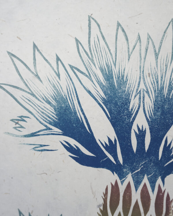 Botanical Print Centaurea cyanus