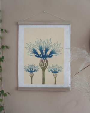 Centaurea cyanus Botanical Print Centaurea cyanus