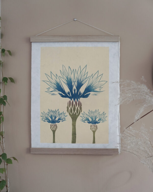 Botanical Print Centaurea cyanus